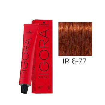 IR.6-77 60ml DARK BLONDE COPPER EXTRA