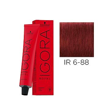 IR. 6-88 60ML DARK BLOND RED EXTRA