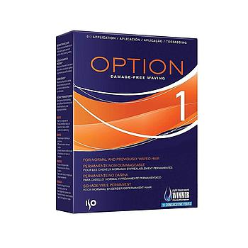 PERM. Option - 1